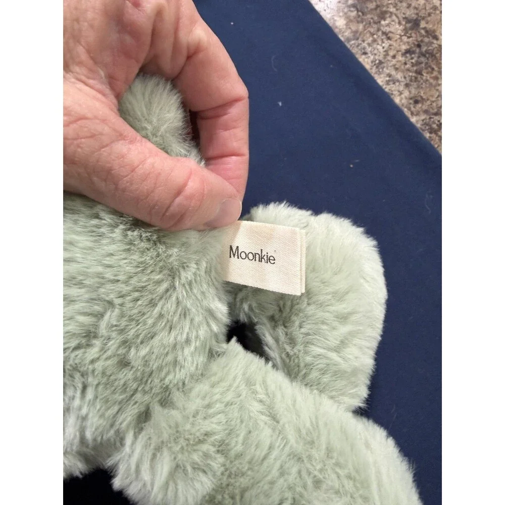 Moonkie dinosaur toddler
